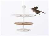 photos of Bird Feeders Contemporary