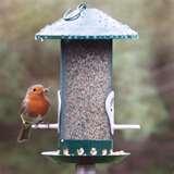 Bird Feeder Smaller Birds images Bird Feeder Smaller Birds images