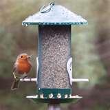 Bird Feeder Smaller Birds images