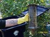 photos of Squirrel Proof Bird Feeders Walmart photos of Squirrel Proof Bird Feeders Walmart