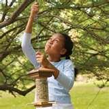 Bird Feeder Clamps photos