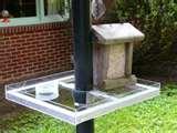 images of Bird Feeder Extensions