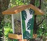 pictures of Bird Feeder Seattle pictures of Bird Feeder Seattle