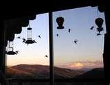 When To Put Humming Bird Feeders Out When To Put Humming Bird Feeders Out