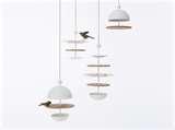 Bird Feeders Balconies photos Bird Feeders Balconies photos