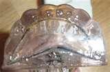 Bird Feeders Buffalo Ny Bird Feeders Buffalo Ny