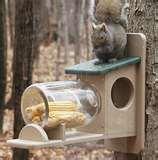 photos of Bird Feeders Milk Jugs