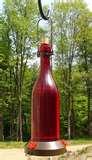 When To Put Humming Bird Feeders Out images When To Put Humming Bird Feeders Out images