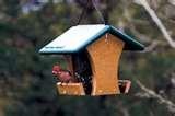 Bird Feeders Milk Jugs