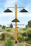 pictures of Bird Feeder Shield pictures of Bird Feeder Shield