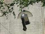 images of Bird Feeder Shield images of Bird Feeder Shield