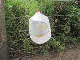 images of Bird Feeders Milk Jugs images of Bird Feeders Milk Jugs