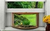Bird Feeders Illegal images Bird Feeders Illegal images