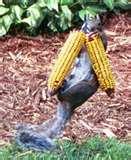 images of Bird Feeders Squirrel Spin images of Bird Feeders Squirrel Spin