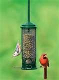 Bird Feeders Starlings photos Bird Feeders Starlings photos