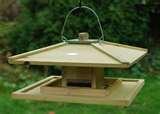 Rhs Bird Feeders Rhs Bird Feeders