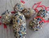 photos of Bird Feeders Out Pine Cones photos of Bird Feeders Out Pine Cones