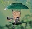 Bird Feeders Pedestals photos