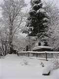 Bird Feeder Yard images Bird Feeder Yard images