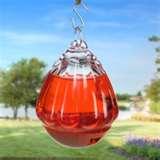 Bird Feeder Hummingbird Down pictures Bird Feeder Hummingbird Down pictures