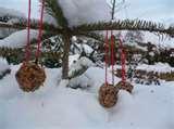 Bird Feeders Out Pine Cones pictures Bird Feeders Out Pine Cones pictures