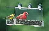 photos of Bird Feeders Dc photos of Bird Feeders Dc