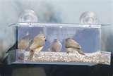 images of Bird Feeders Dc images of Bird Feeders Dc