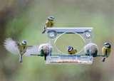 pictures of Rhs Bird Feeders pictures of Rhs Bird Feeders