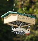 Bird Feeders Easy To Clean photos Bird Feeders Easy To Clean photos