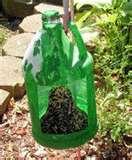 Bird Feeder Yard images Bird Feeder Yard images