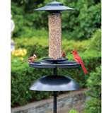 Bird Feeder Hummingbird Down photos Bird Feeder Hummingbird Down photos