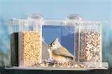 Bird Feeders Dc pictures Bird Feeders Dc pictures