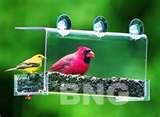 images of Bird Feeders Dc images of Bird Feeders Dc