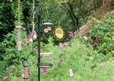 images of Rhs Bird Feeders