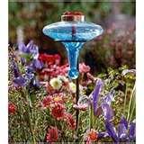 Bird Feeders My Garden pictures Bird Feeders My Garden pictures