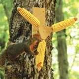 Bird Feeders Squirrel Spin photos Bird Feeders Squirrel Spin photos