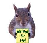 Bird Feeders Squirrel Spin Bird Feeders Squirrel Spin