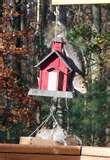 Bird Feeder Virginia pictures Bird Feeder Virginia pictures
