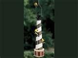 pictures of Bird Feeders Squirrel Spin pictures of Bird Feeders Squirrel Spin
