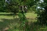 images of Bird Feeder Virginia images of Bird Feeder Virginia