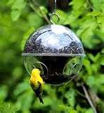Bird Feeders Dc images Bird Feeders Dc images