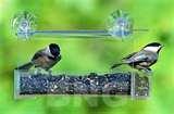 images of Bird Feeders Dc images of Bird Feeders Dc