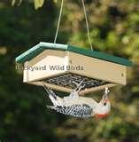 Bird Feeder Hummingbird Down photos Bird Feeder Hummingbird Down photos