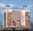 pictures of Bird Feeders Dc pictures of Bird Feeders Dc