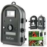 pictures of Bird Feeders Cameras