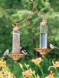 Bird Feeders For Apartments photos