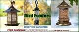 photos of Bird Feeders Cameras