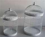 Bird Feeders Cages
