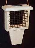 pictures of Bird Feeders Las Vegas pictures of Bird Feeders Las Vegas