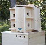 images of Bird Feeders For Apartments images of Bird Feeders For Apartments